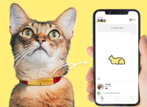 c 【Catlog】株式会社ＲＡＢＯ 愛猫をいつも近くに感じる次世代の首輪