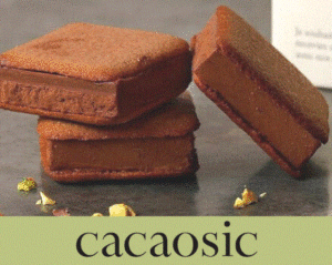 y ユヌオンラインショップ